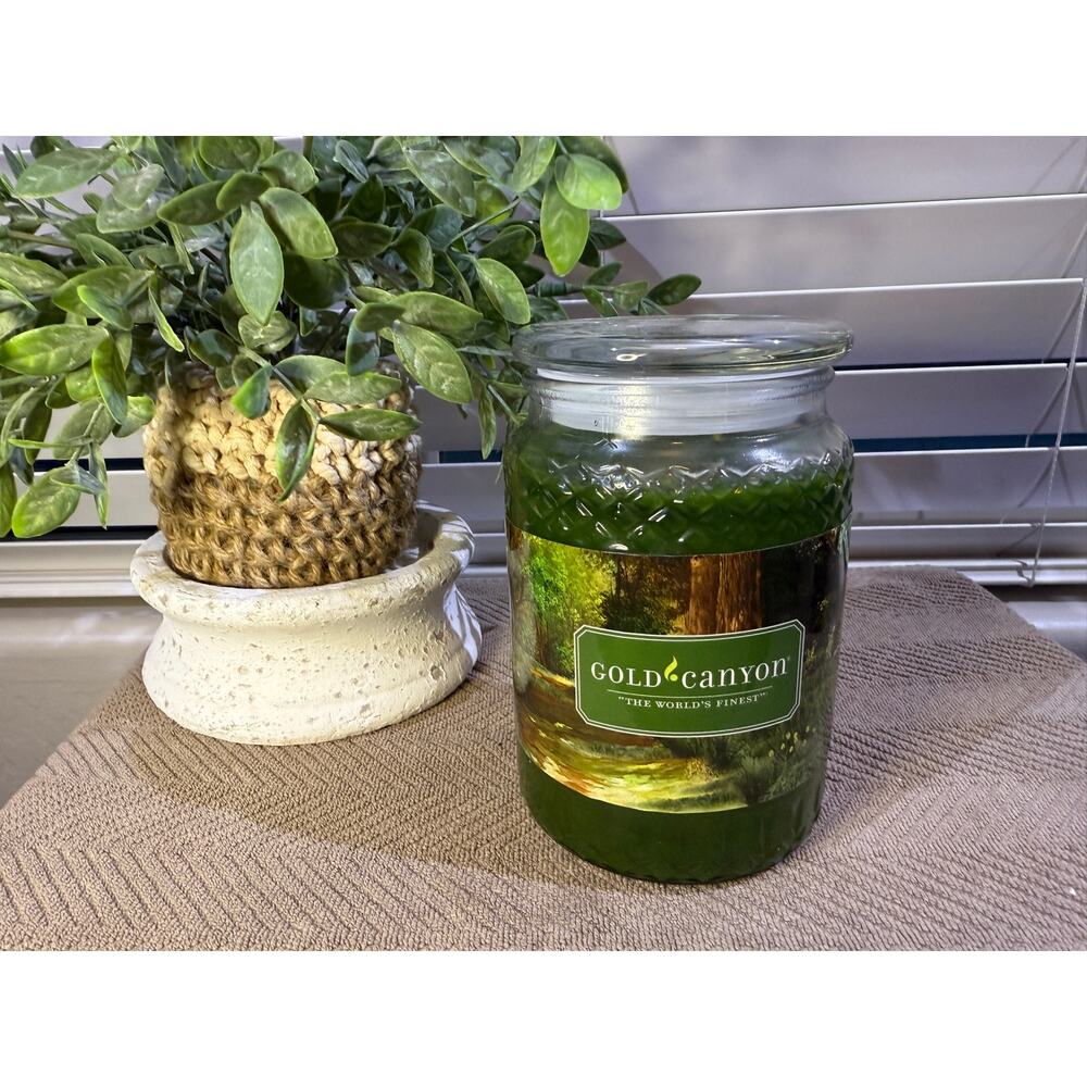 Gold Canyon Candles Large 26oz Vetiver woods Highly Scented Hard to Find